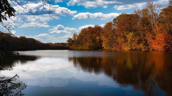 Speedwell Lakin in Morristown NJ